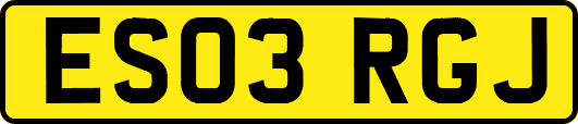 ES03RGJ