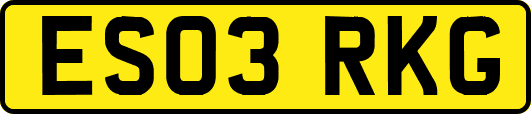 ES03RKG