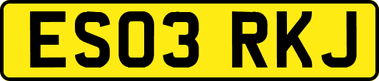 ES03RKJ