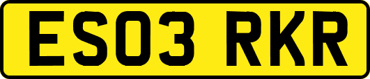 ES03RKR