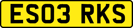 ES03RKS