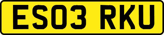 ES03RKU