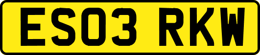 ES03RKW