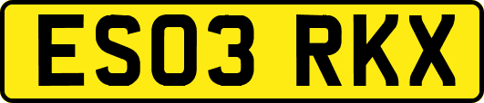 ES03RKX