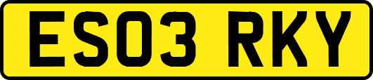 ES03RKY