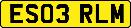 ES03RLM