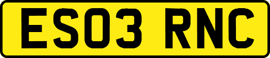 ES03RNC