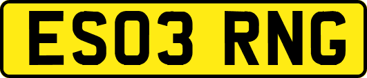 ES03RNG
