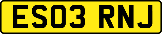 ES03RNJ