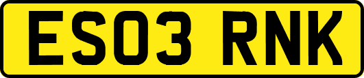ES03RNK