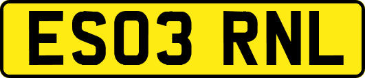 ES03RNL