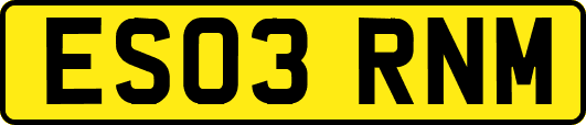 ES03RNM