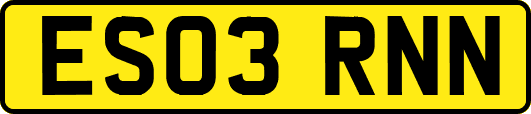 ES03RNN