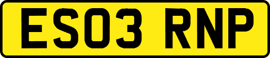 ES03RNP