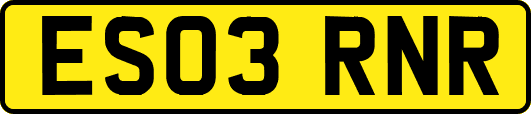 ES03RNR