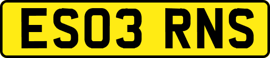 ES03RNS