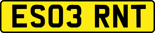 ES03RNT