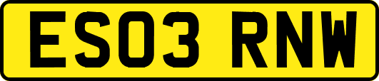 ES03RNW