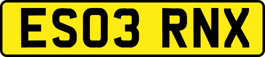 ES03RNX