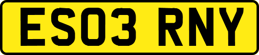 ES03RNY