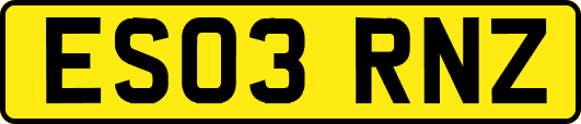 ES03RNZ