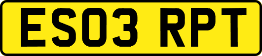 ES03RPT