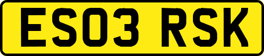 ES03RSK