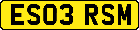 ES03RSM