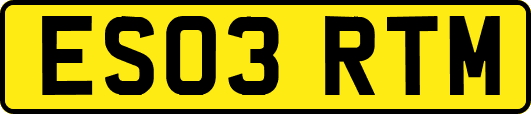 ES03RTM
