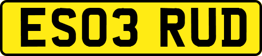ES03RUD