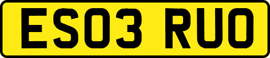 ES03RUO