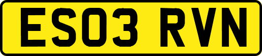 ES03RVN