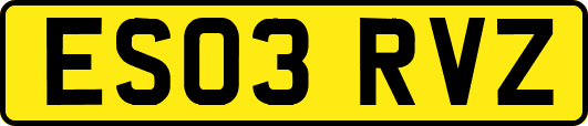 ES03RVZ