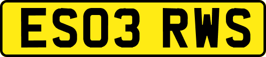ES03RWS