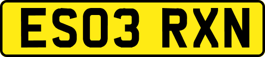 ES03RXN