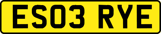 ES03RYE