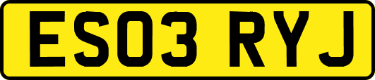 ES03RYJ