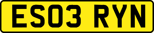 ES03RYN