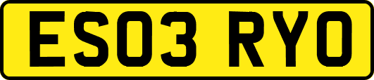 ES03RYO