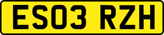ES03RZH
