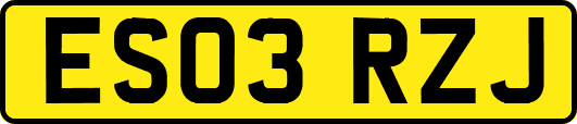 ES03RZJ
