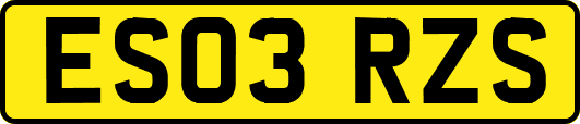 ES03RZS