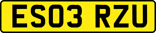 ES03RZU