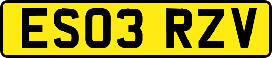 ES03RZV
