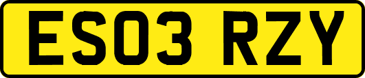 ES03RZY