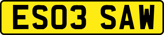 ES03SAW
