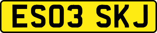 ES03SKJ