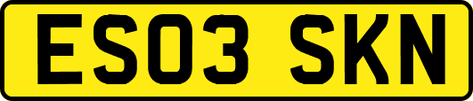 ES03SKN