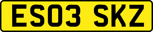 ES03SKZ