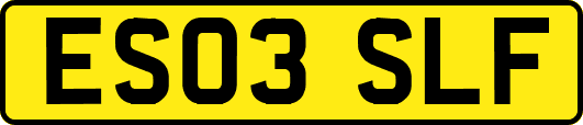 ES03SLF